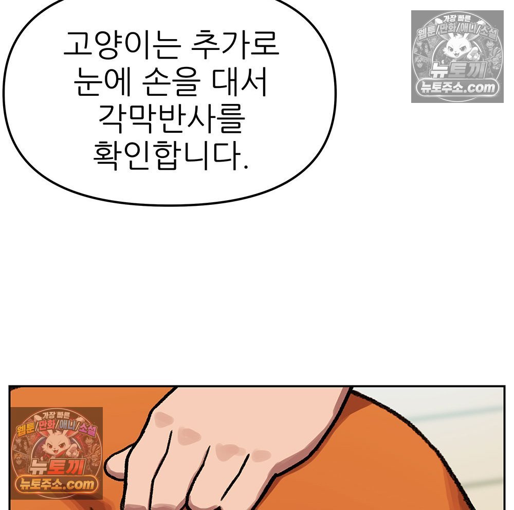 107.jpg