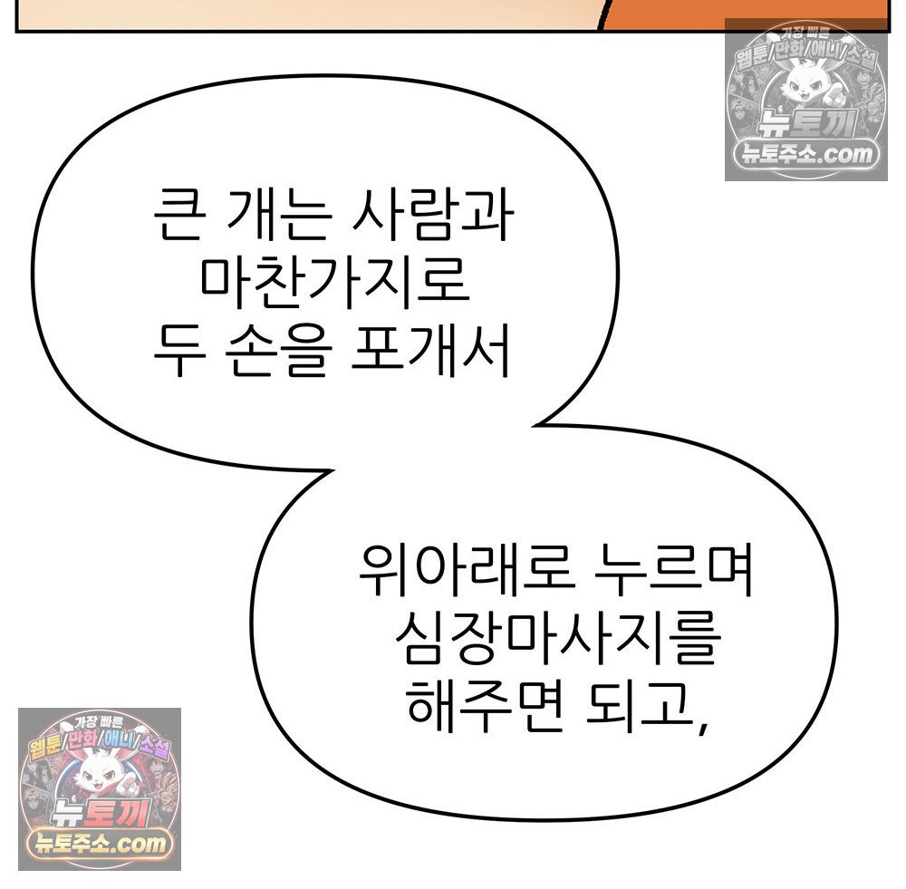 118.jpg