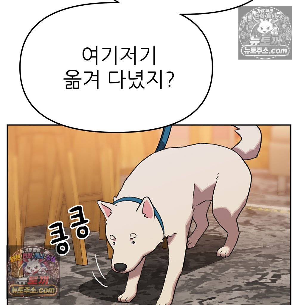 113.jpg