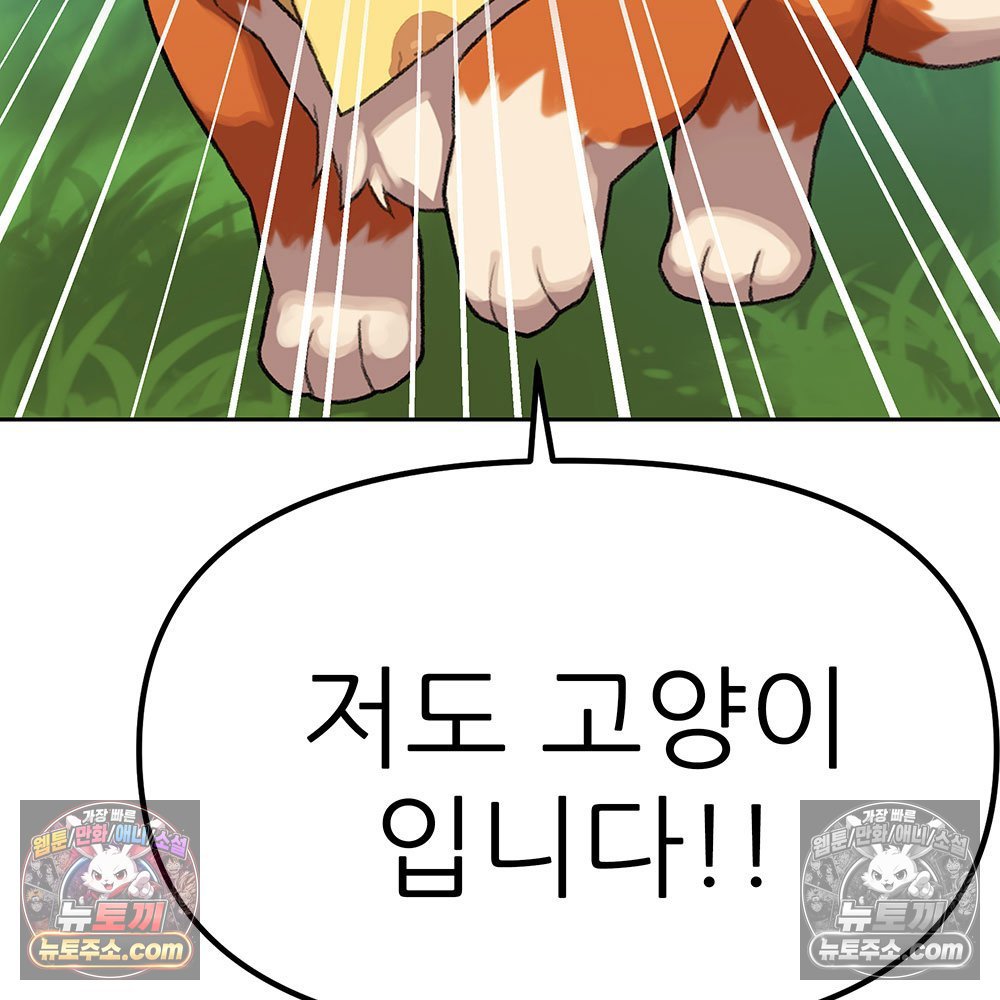 004.jpg