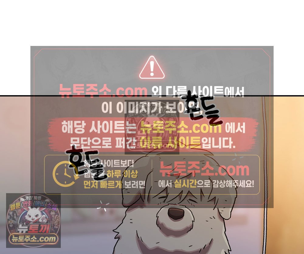 113.jpg