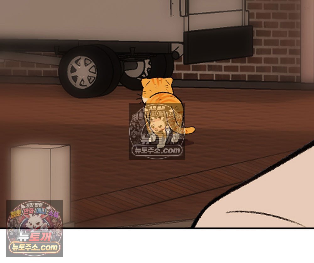 006.jpg
