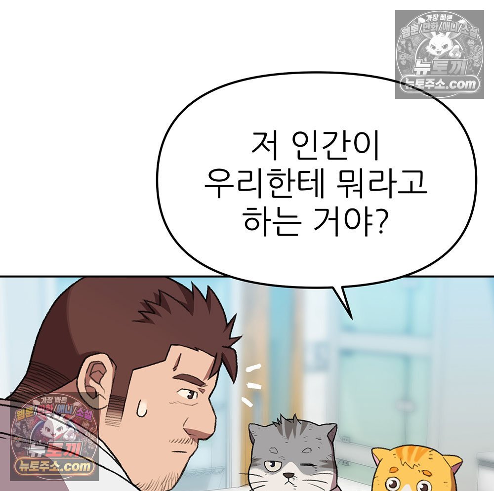 123.jpg