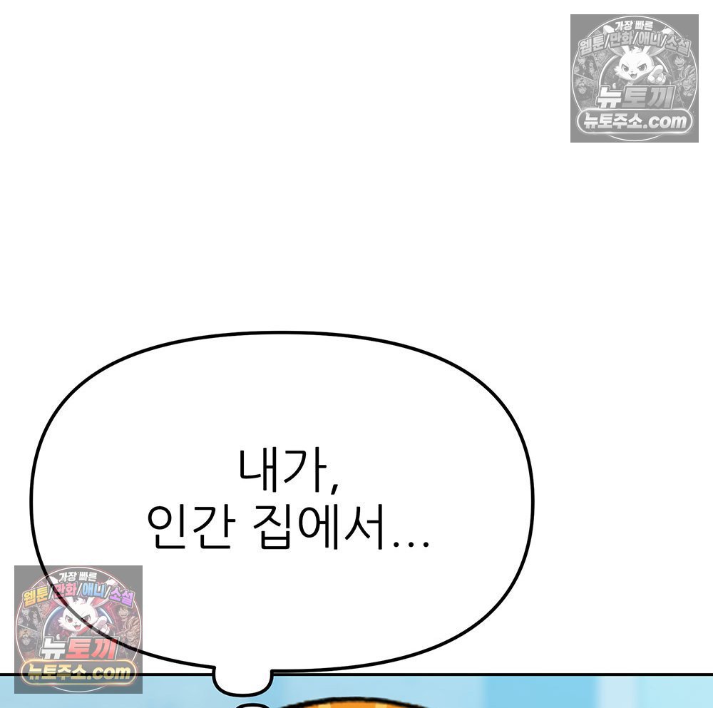 128.jpg