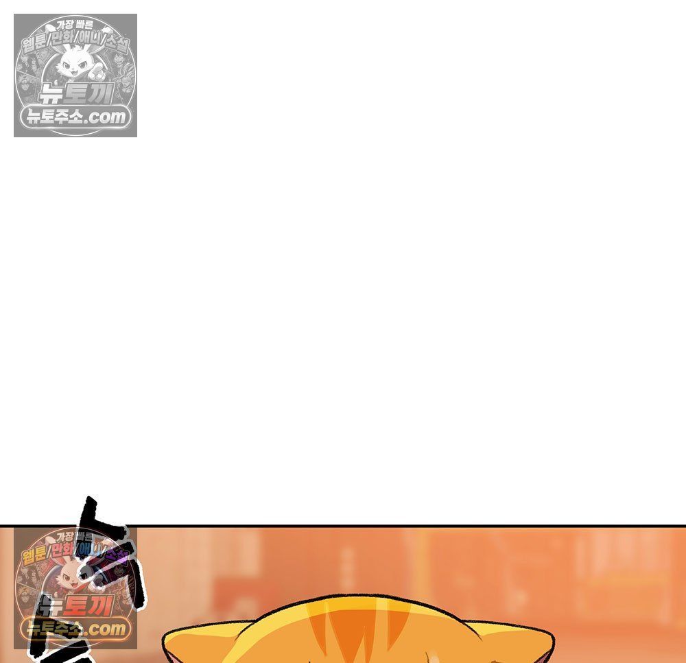 113.jpg