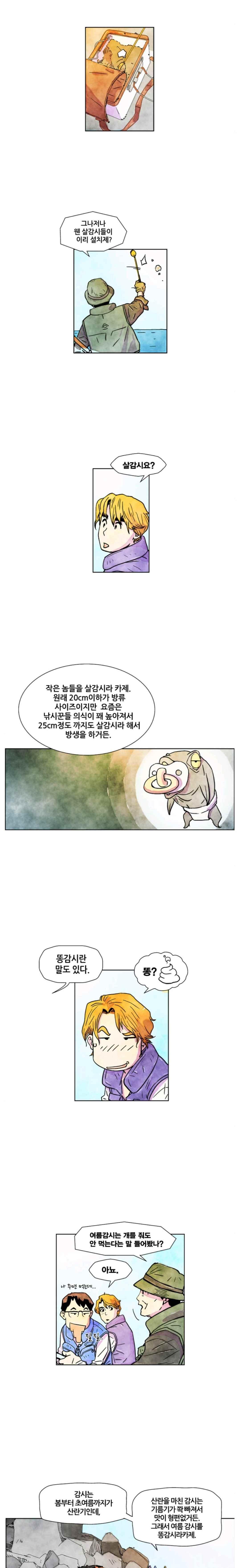 010.jpg