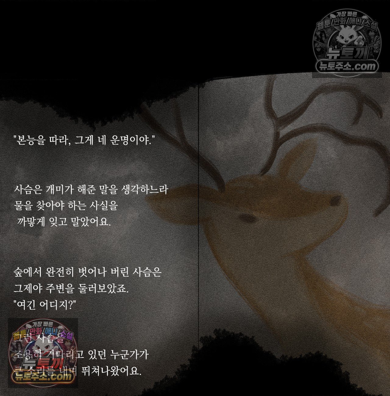 002.jpg