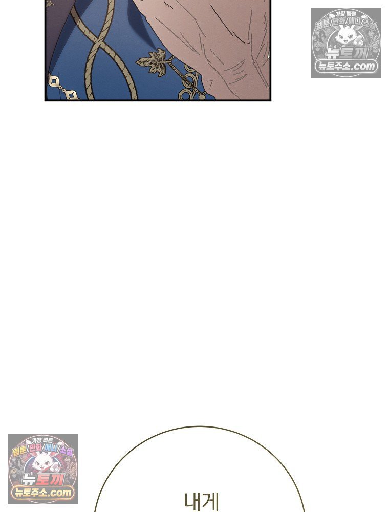 113.jpg