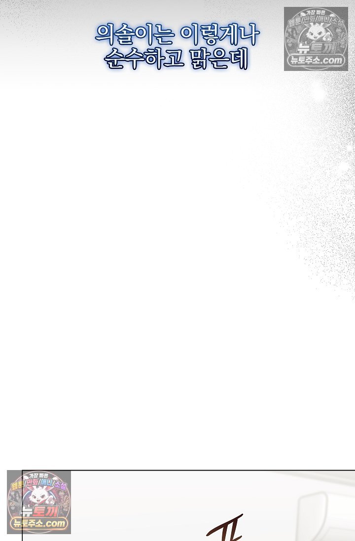 102.jpg