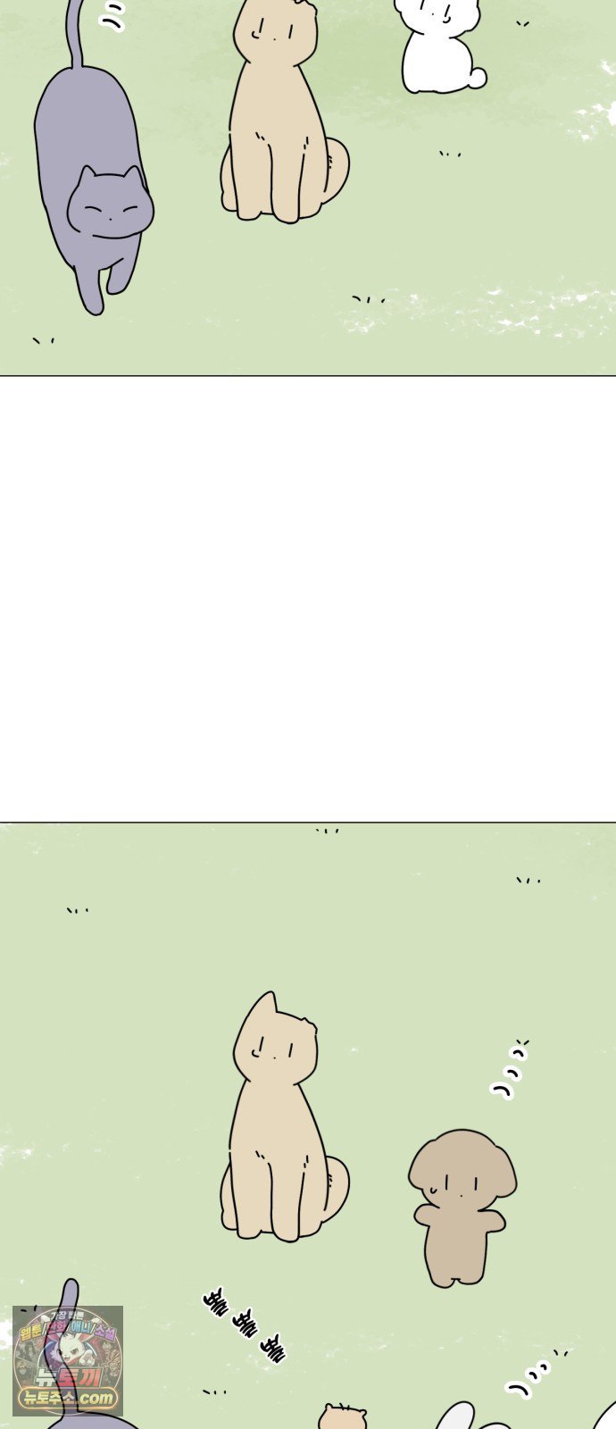 006.jpg