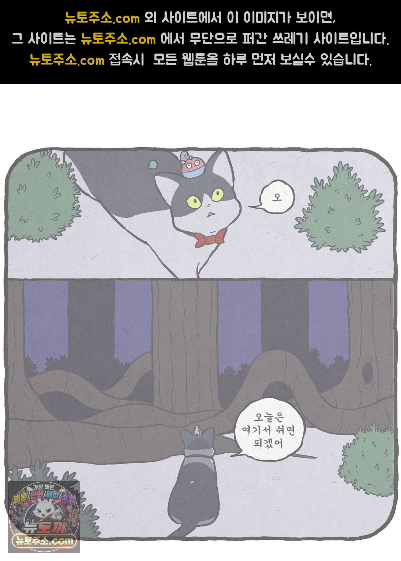 005.jpg