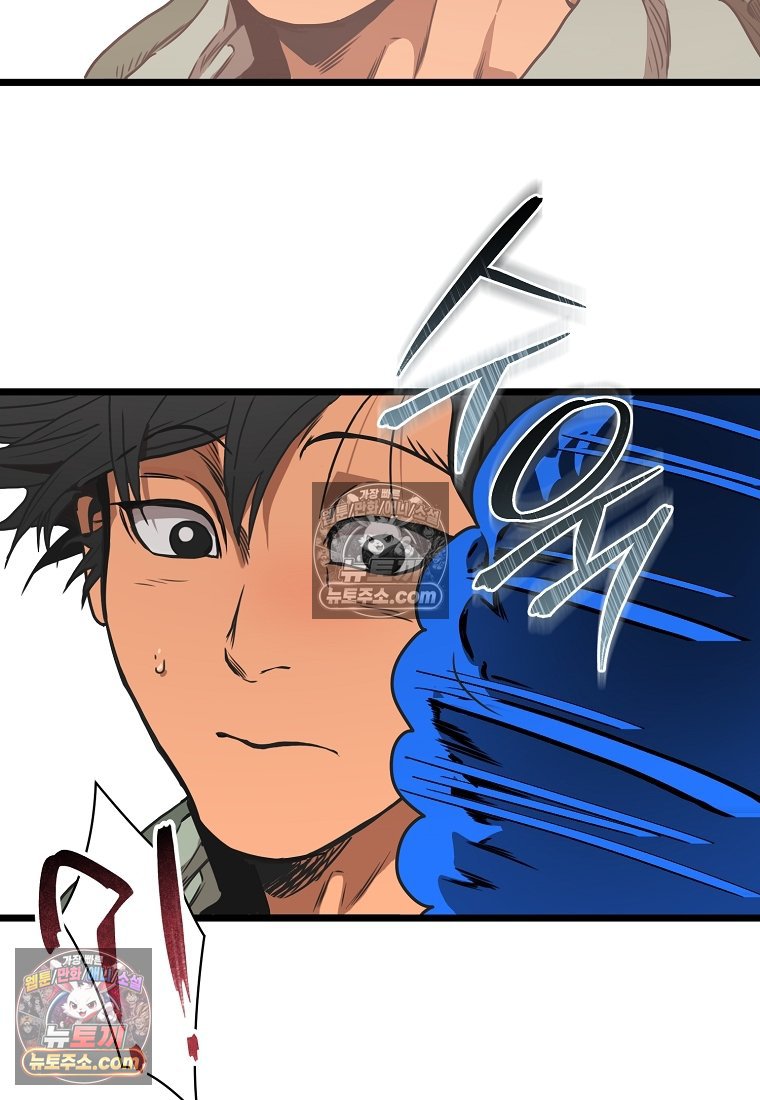 231.jpg