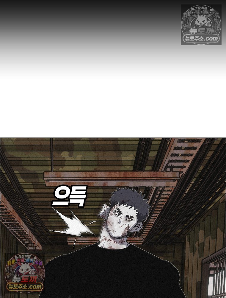 005.jpg
