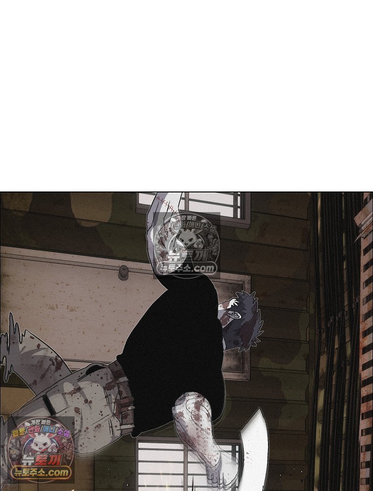 036.jpg