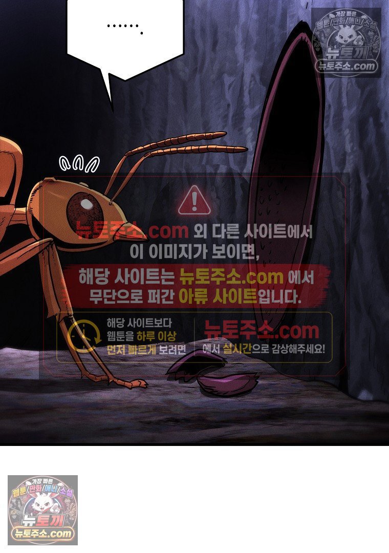 104.jpg