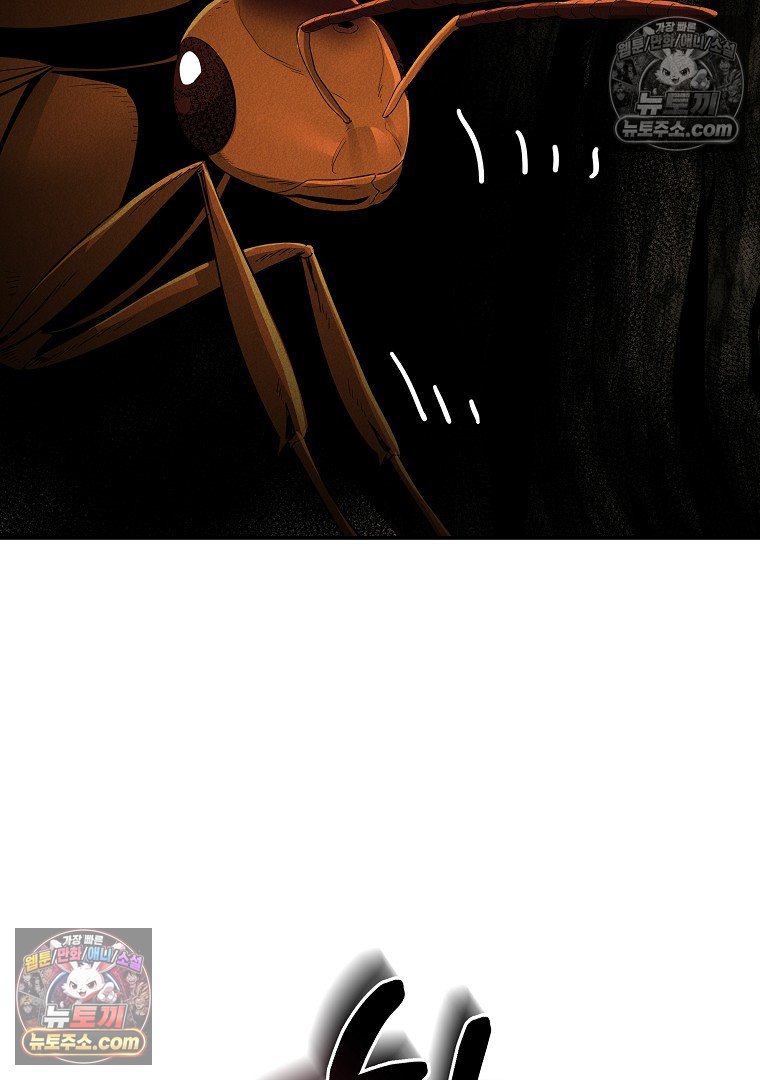 101.jpg