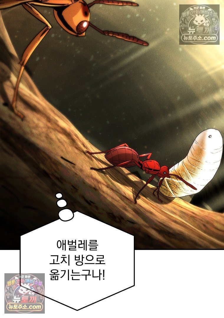 104.jpg