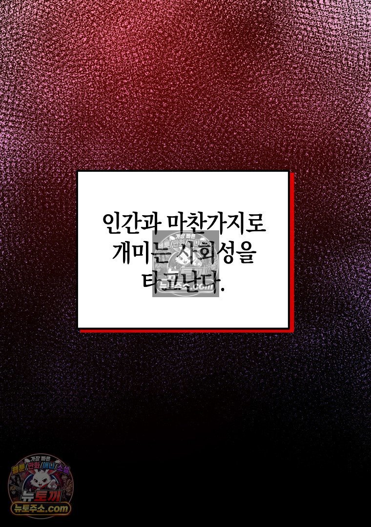 030.jpg