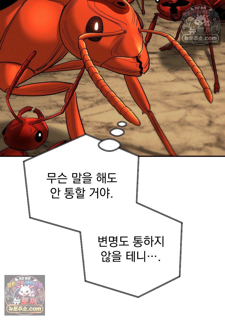 113.jpg