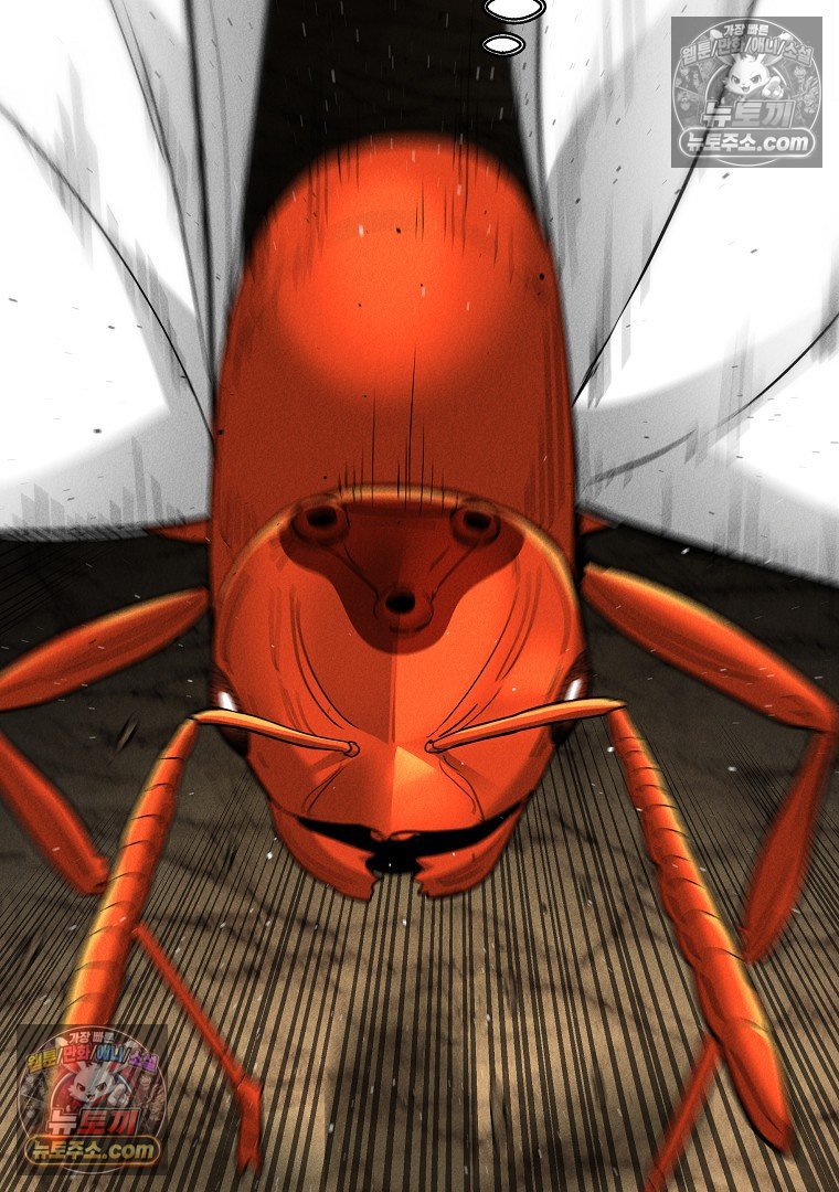117.jpg