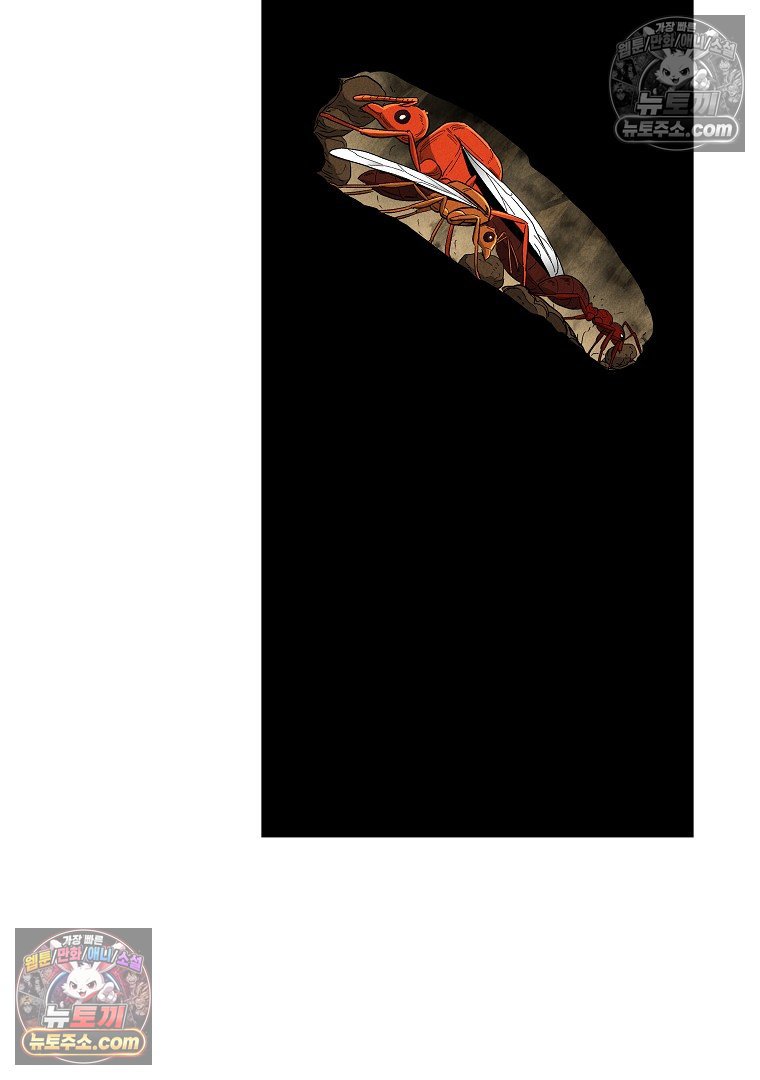 116.jpg