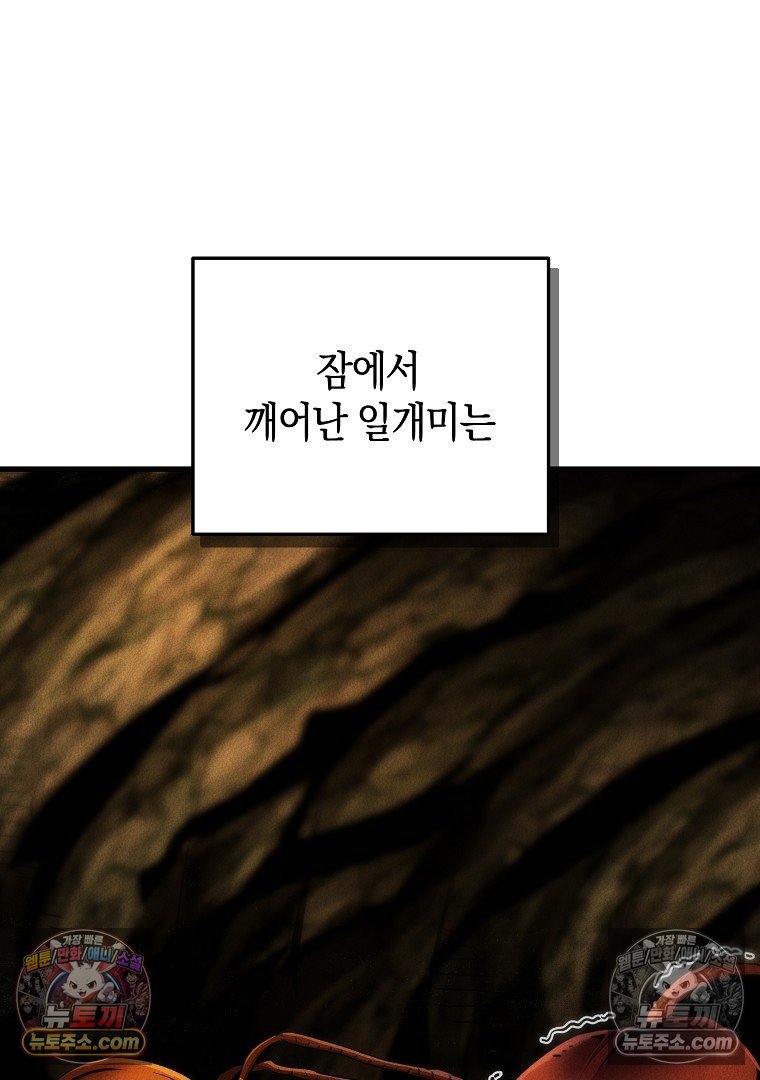 003.jpg