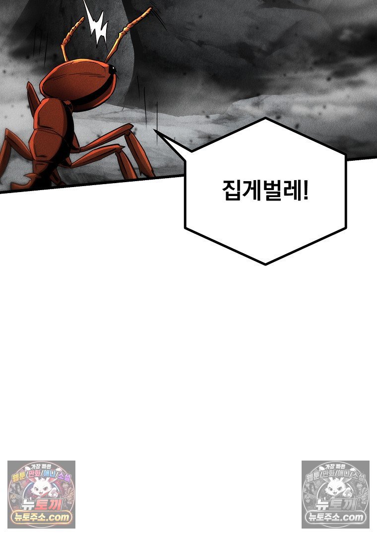 105.jpg
