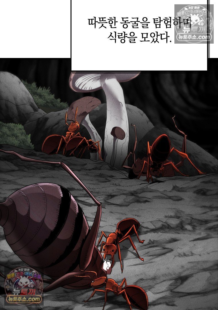 135.jpg