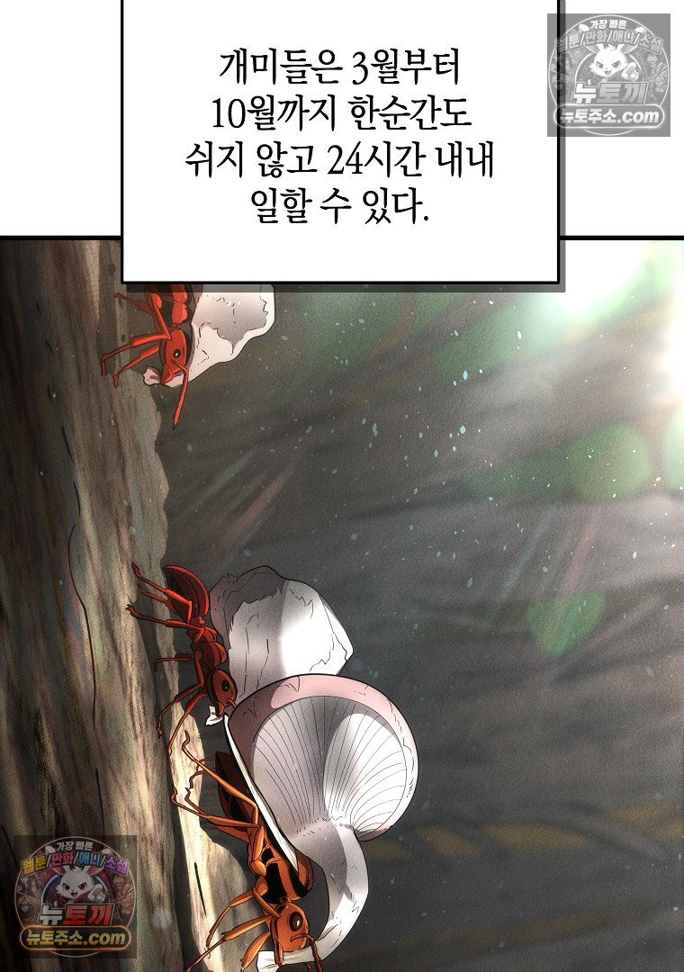146.jpg