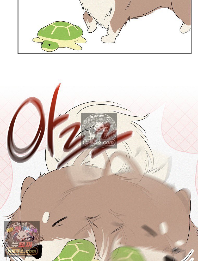 103.jpg