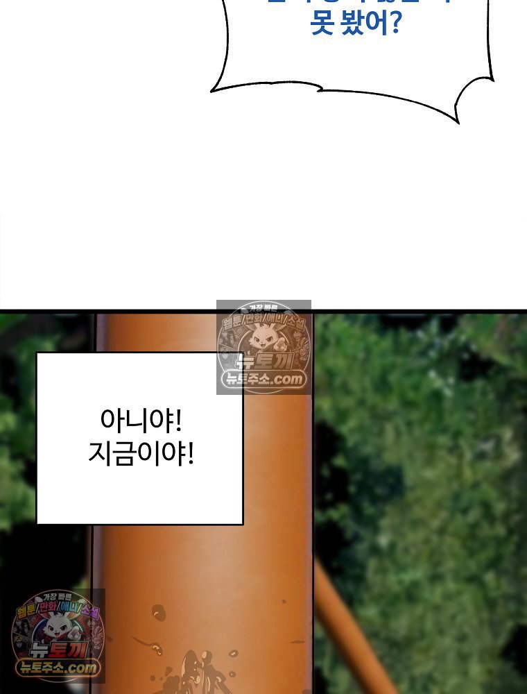 197.jpg
