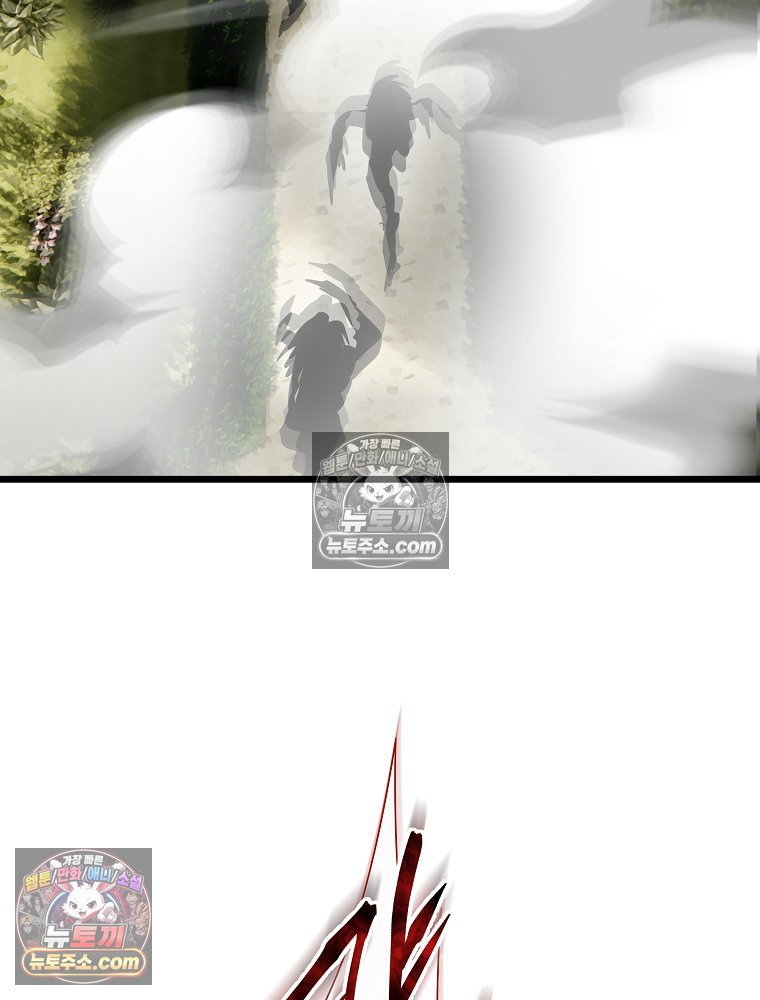 215.jpg
