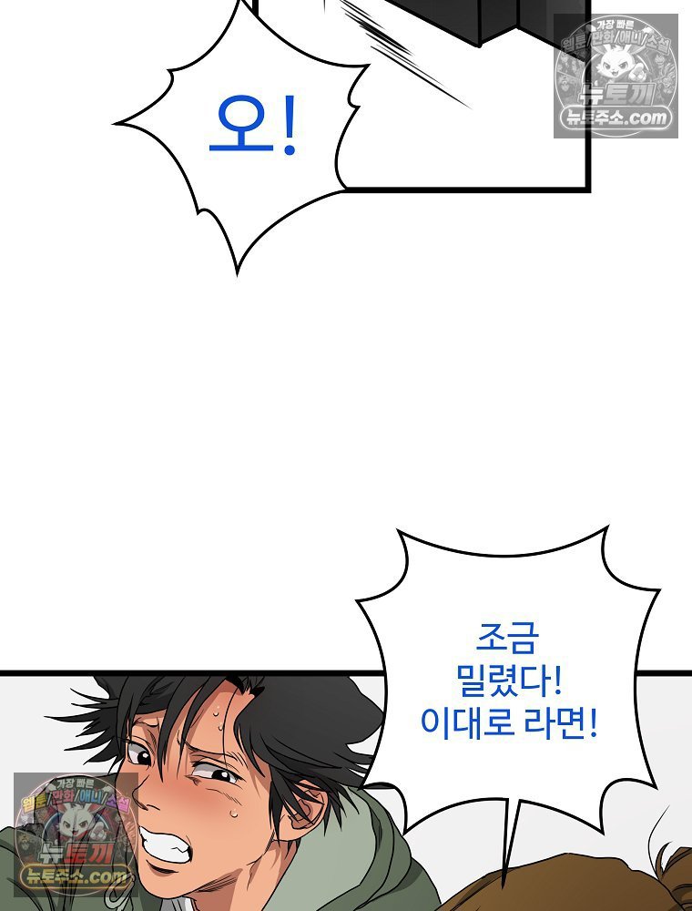 242.jpg