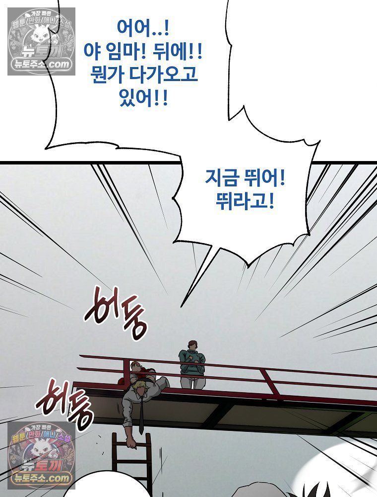 113.jpg