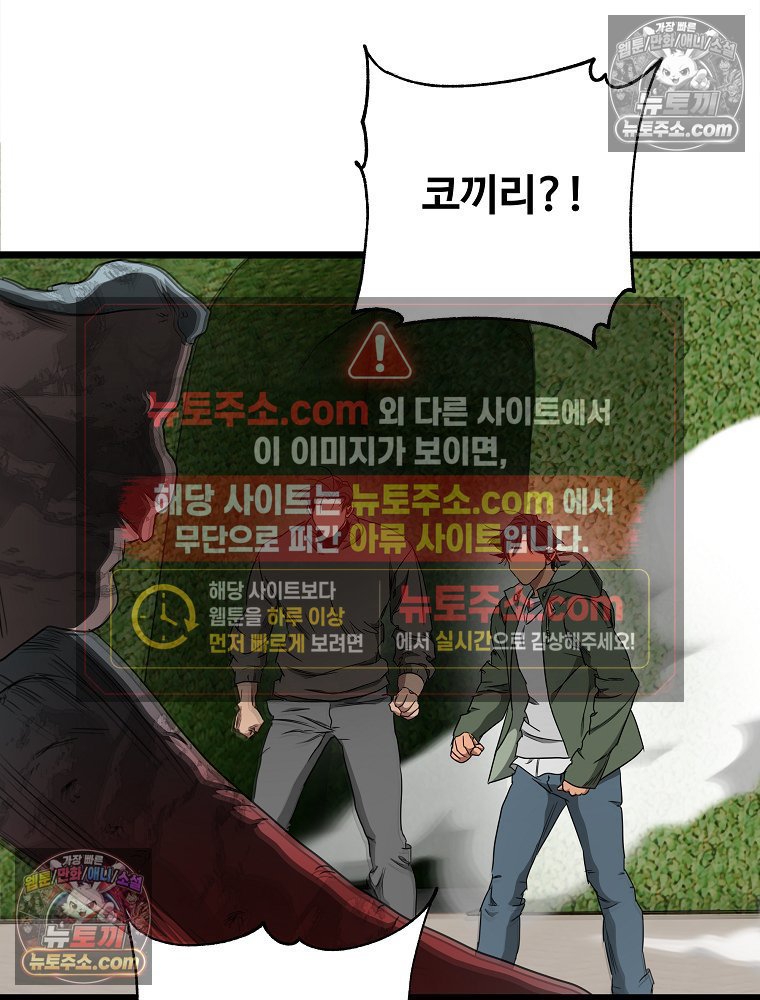 223.jpg