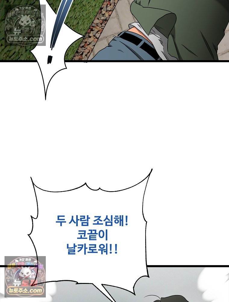 232.jpg