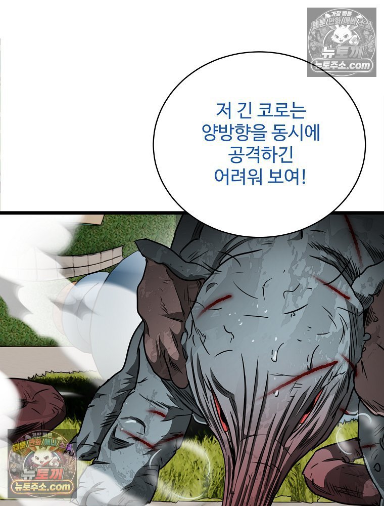 242.jpg