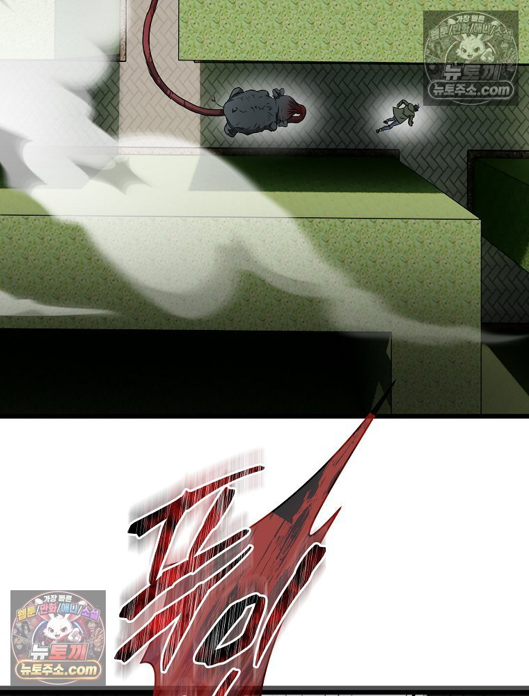 293.jpg