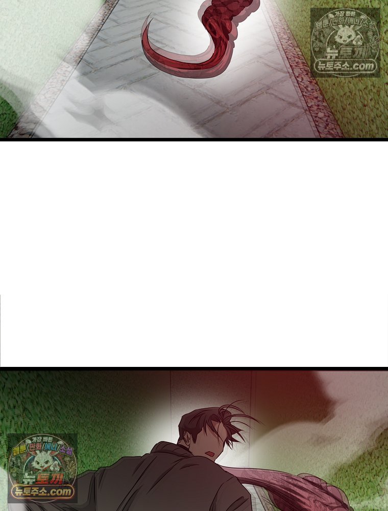 335.jpg