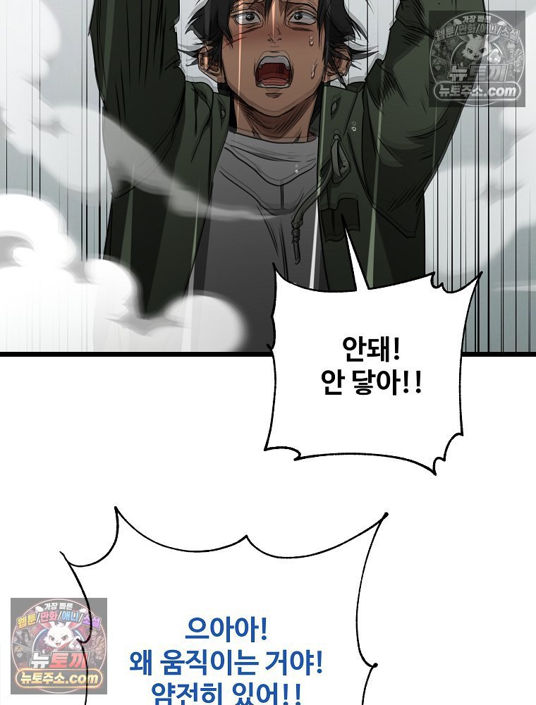 233.jpg