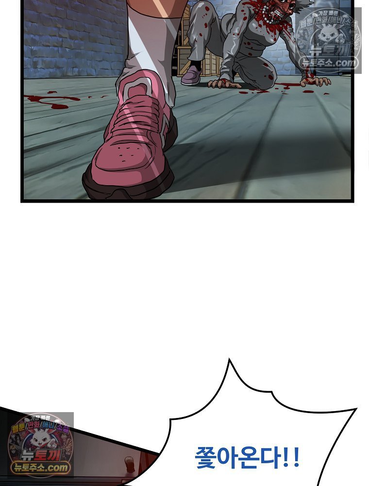 241.jpg