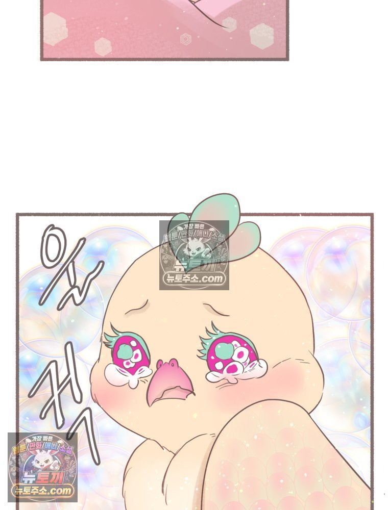 010.jpg