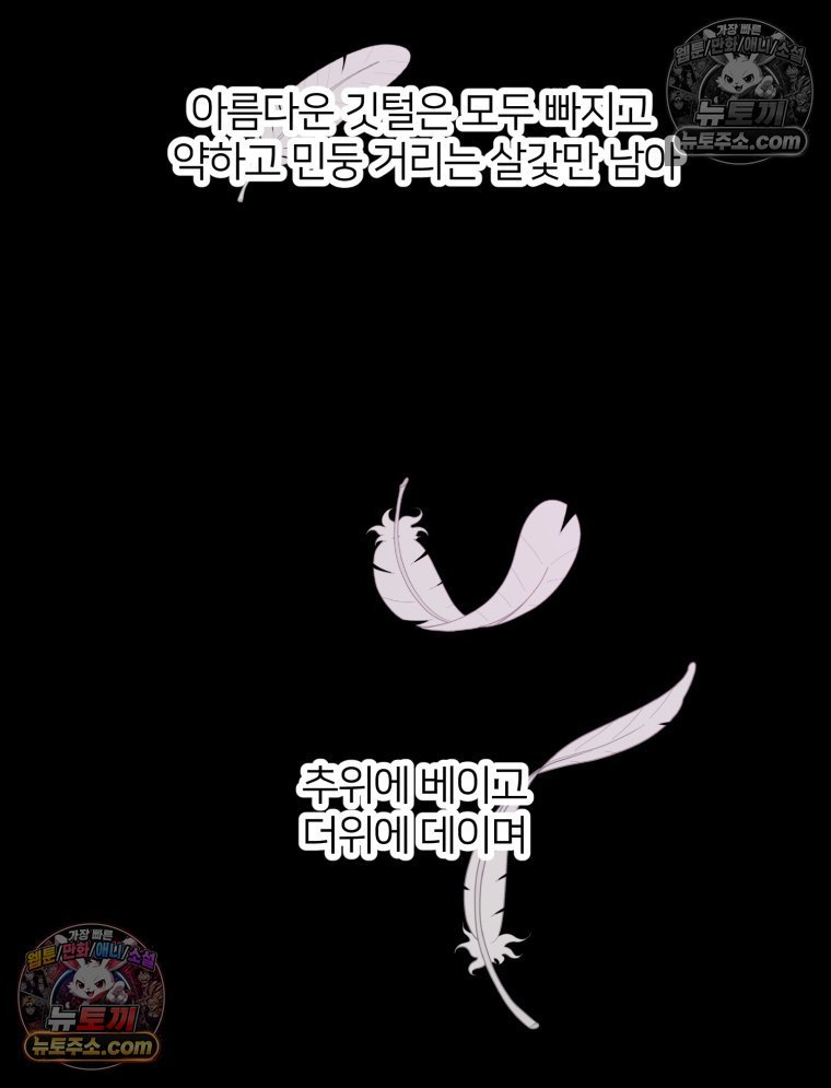 050.jpg