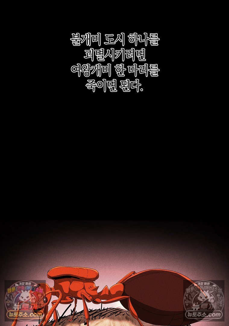 113.jpg