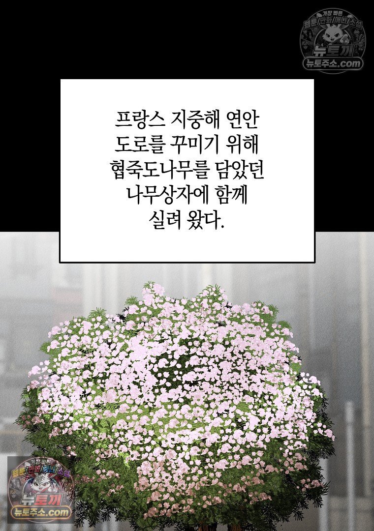003.jpg