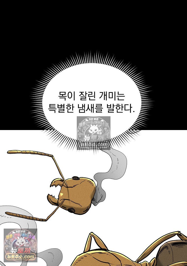 103.jpg