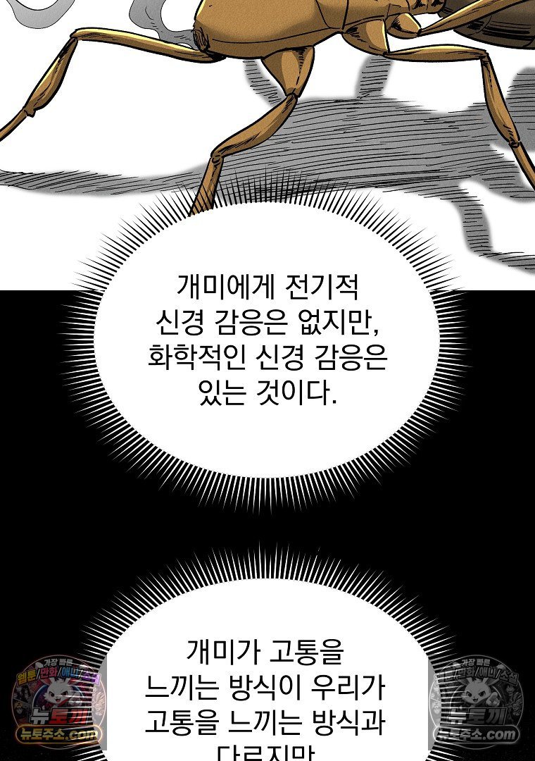 104.jpg