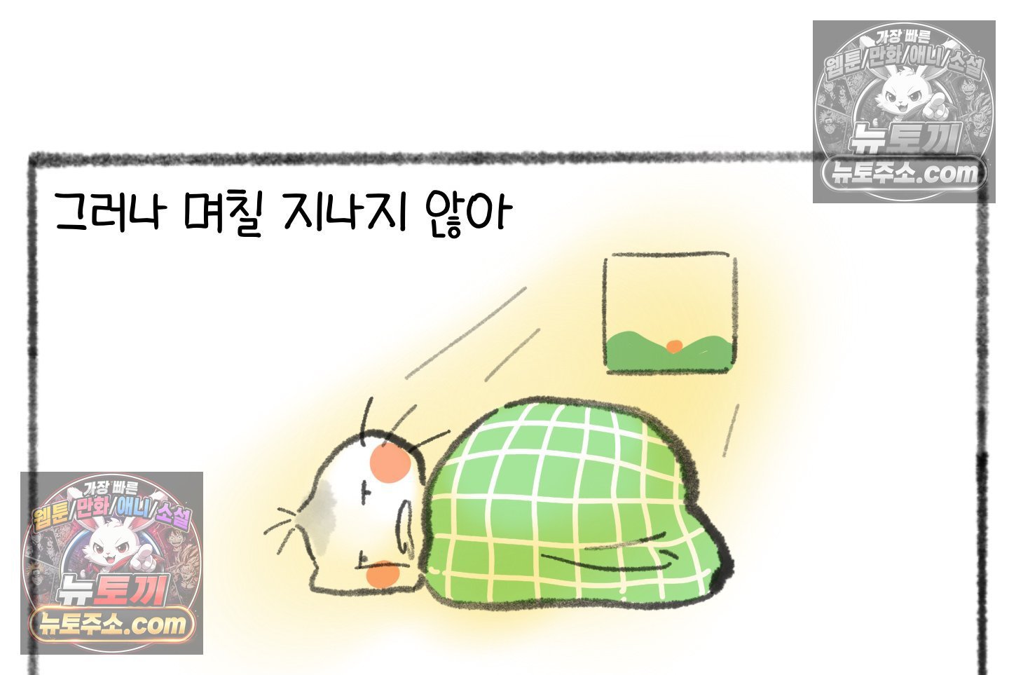 006.jpg