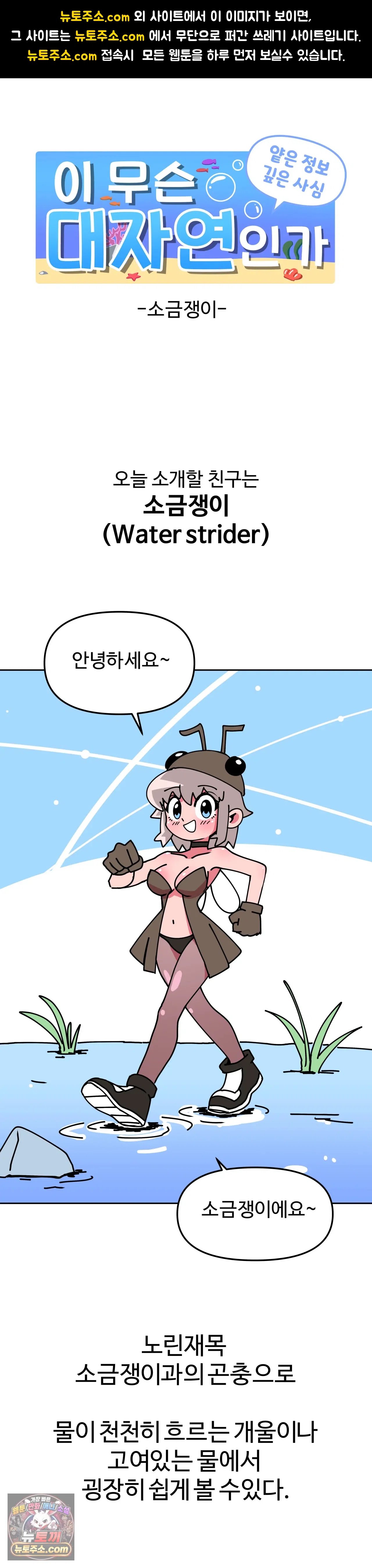 001.jpg