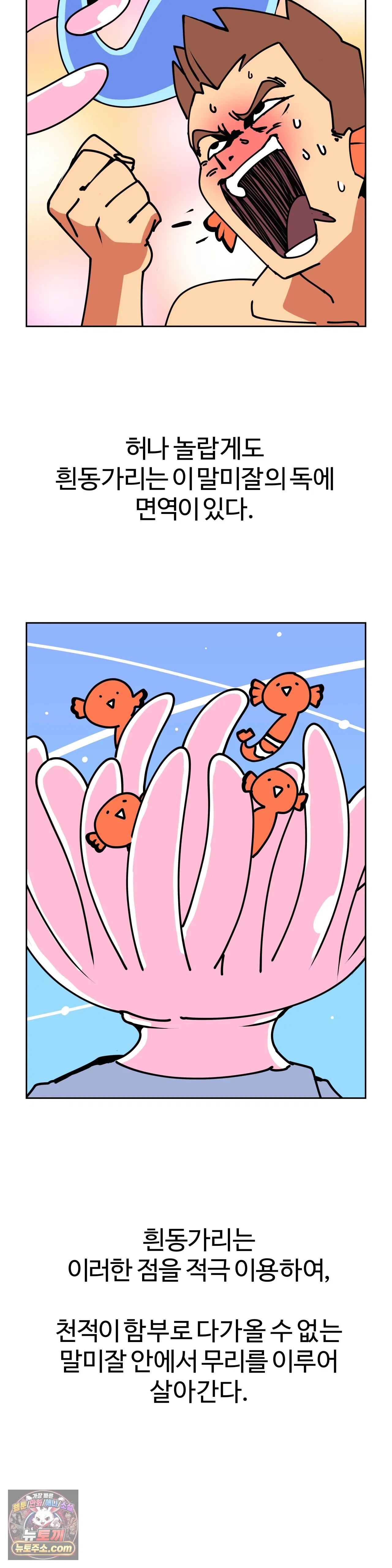 004.jpg